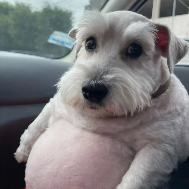 breadnautk1ng's profile picture