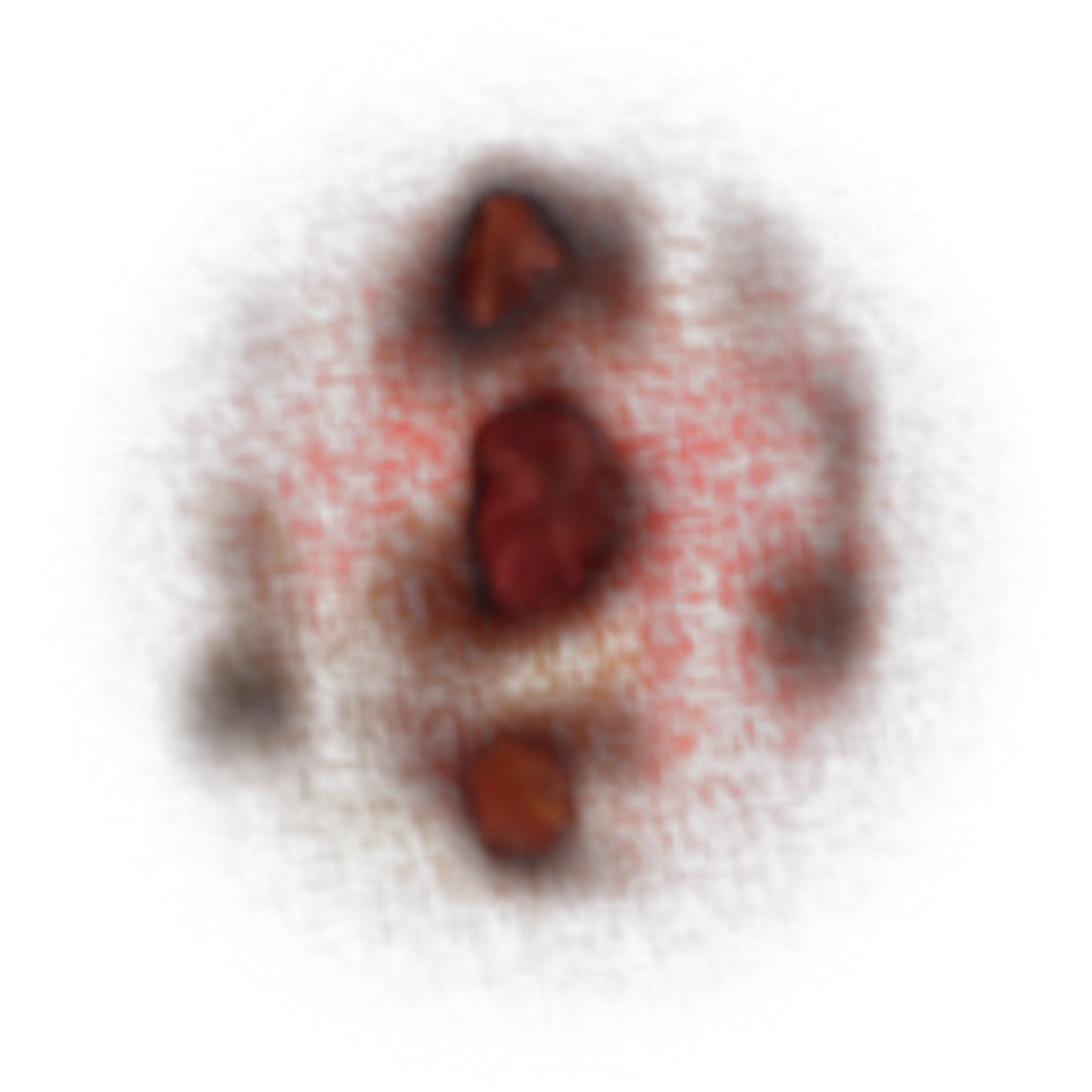 ceveyne's profile picture