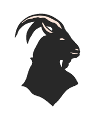 dvcsrv-com's profile picture