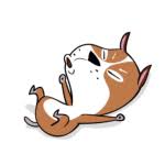 fixme404's profile picture