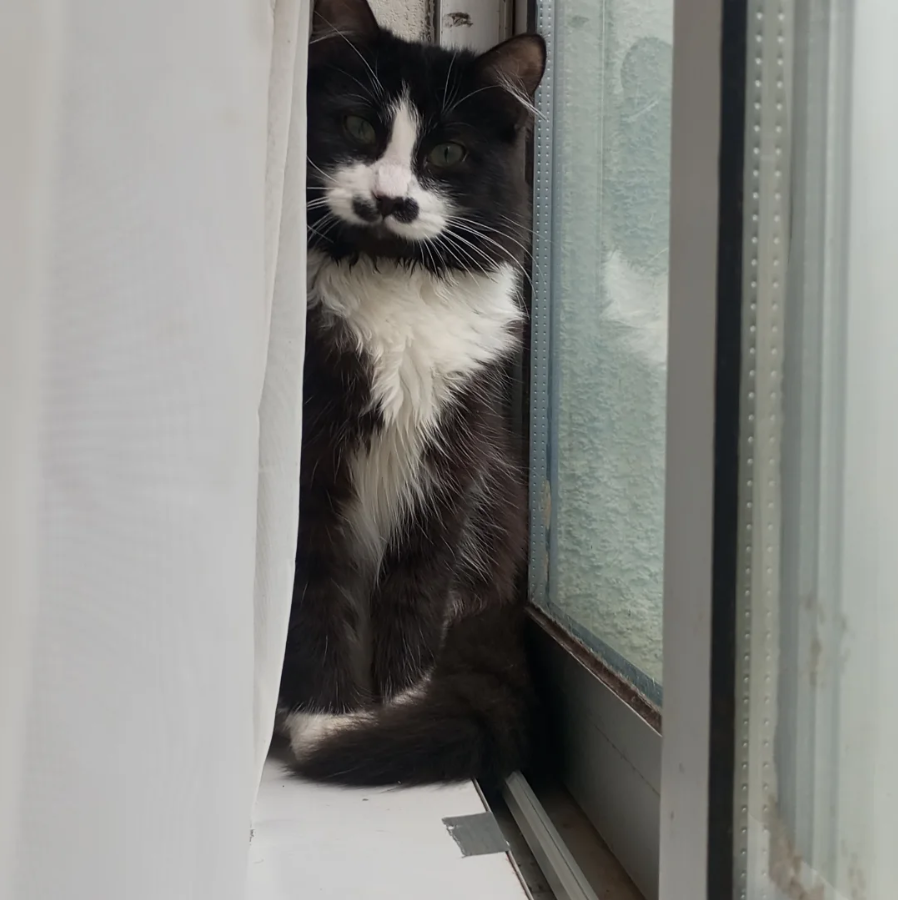 fyurixd's profile picture