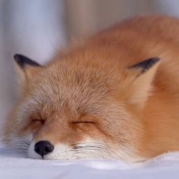 khtsly's profile picture