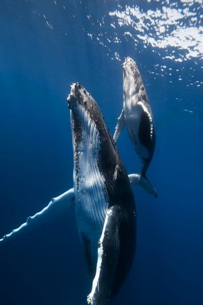 kkm's profile picture