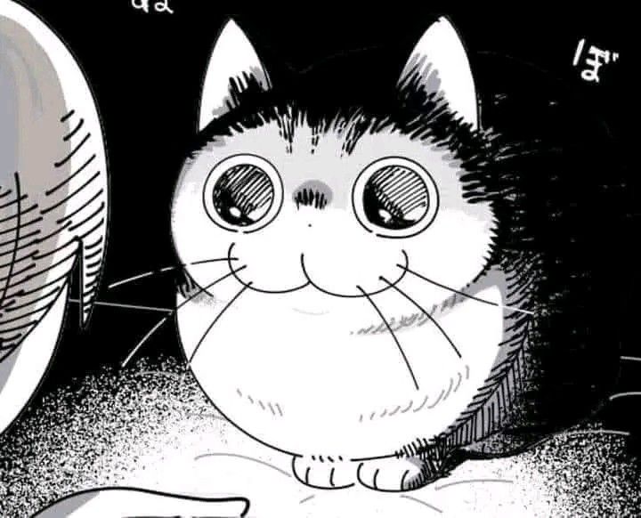 leandro-sm's profile picture