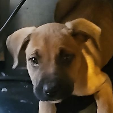 leemetaxtron's profile picture