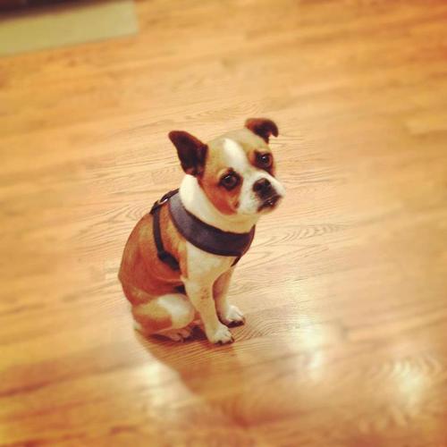 newmanage's profile picture