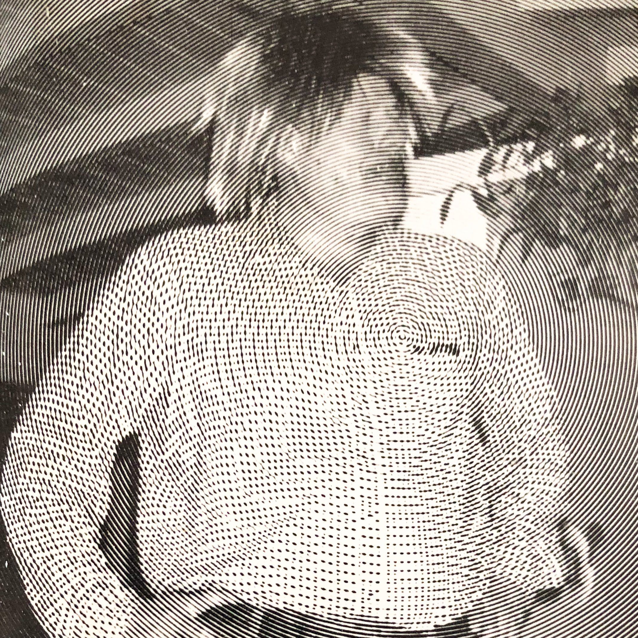 self-llc's profile picture