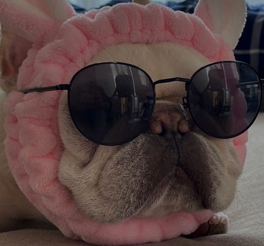 sirgprice's profile picture
