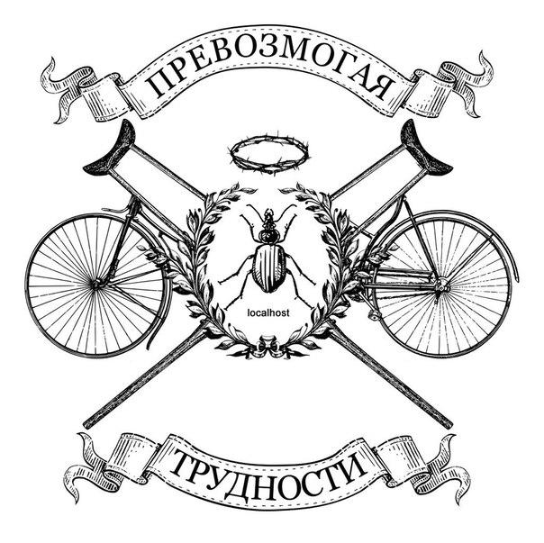 xelanimed's profile picture