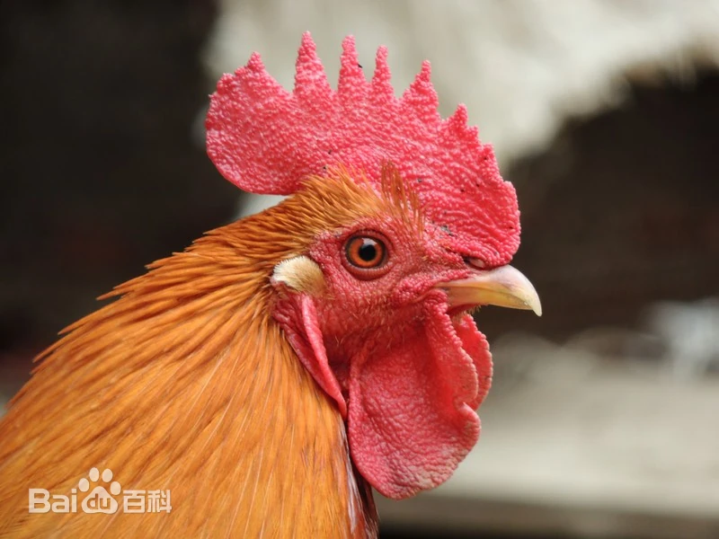 xsy's profile picture